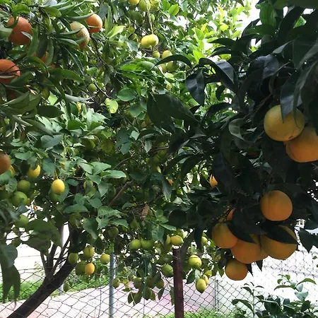 아파트 Location In