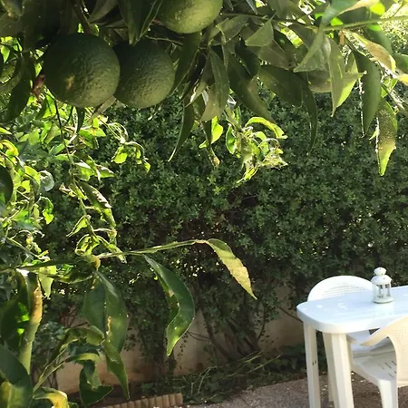 Appartement Location In Vrahati