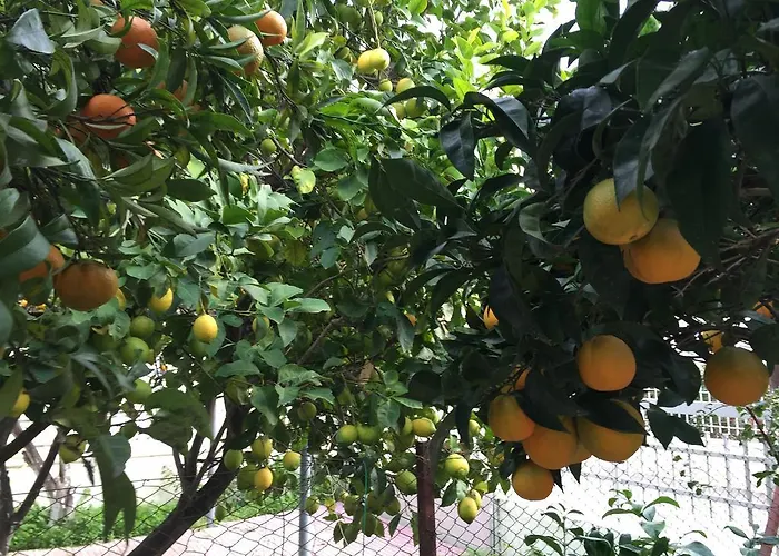 Appartamento Location In