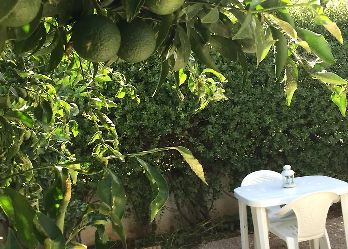 Appartamento Location In Vrahati